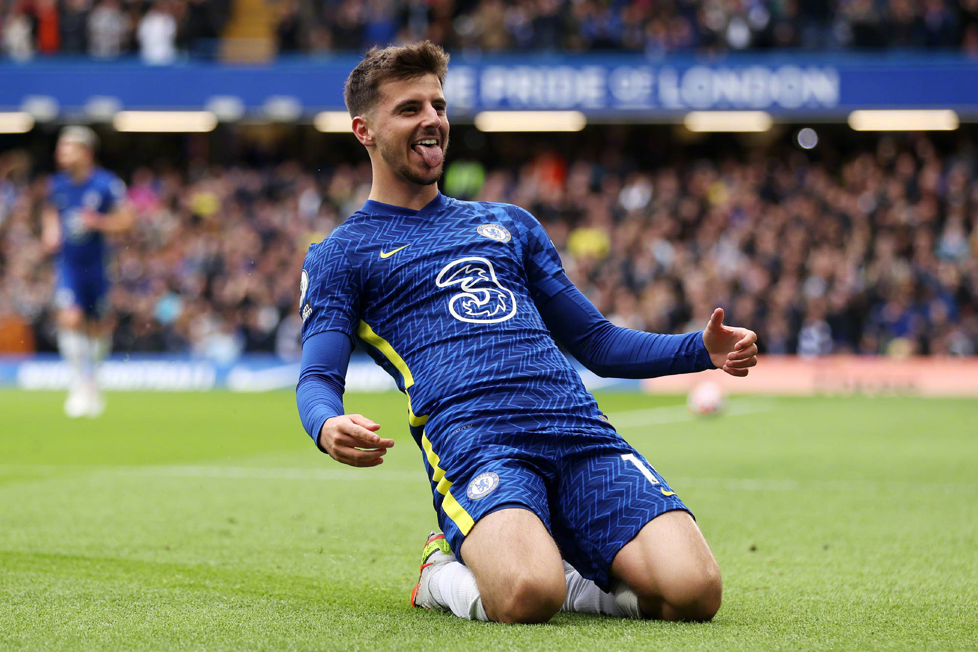 屡次获得佳 屡次获得佳