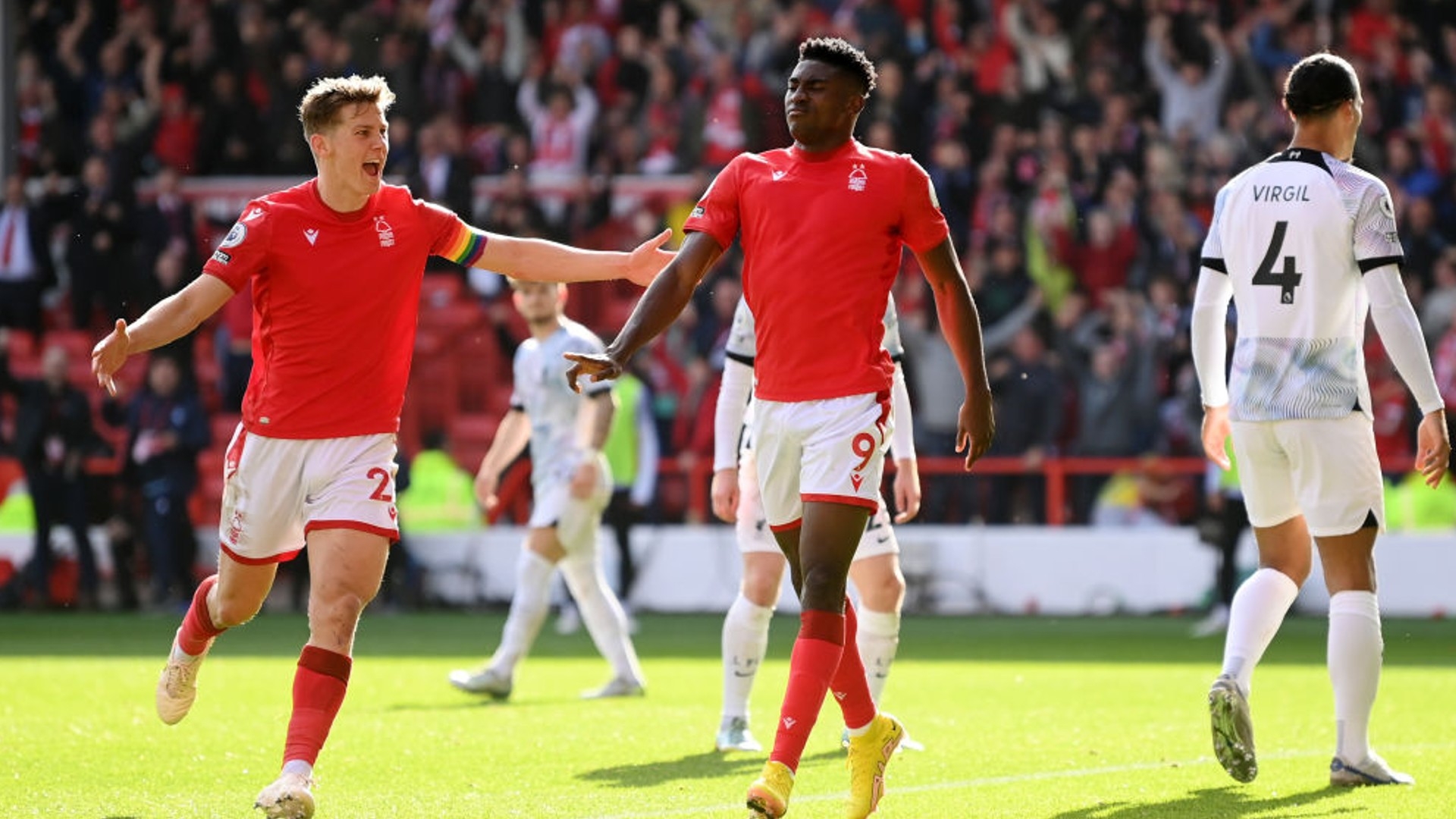 坛的一支顶 坛的一支顶